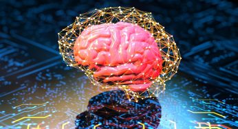 El estudio de Harvard revela qué alimentos benefician el rendimiento cognitivo
