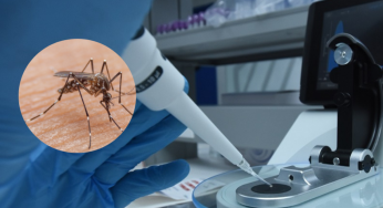 Unisimon ofrece inteligencia artificial para fortalecer el control de la fiebre amarilla en Colombia
